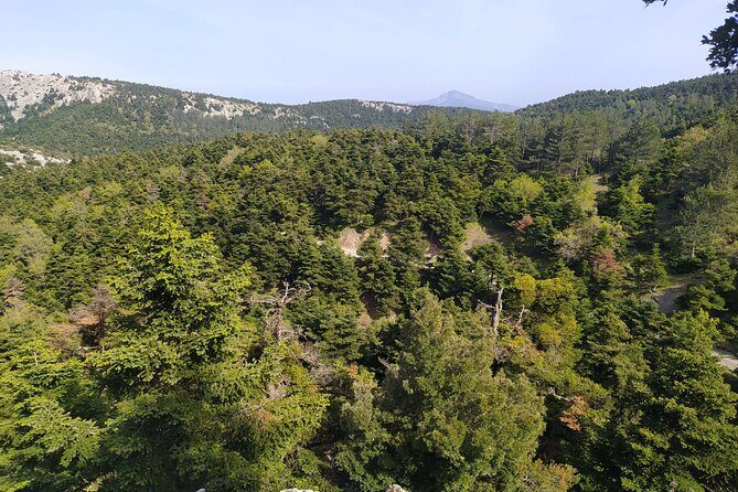 1 Day Parnitha Athens Private Hiking Tour with Hotel Pickup - Key things to know before you go