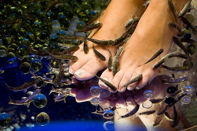 1-Hour Aroma Oil Massage plus 20-Minute Free Fish Pedi - Aromatherapy Oil Massage Meets Fish Pedicure in Athens