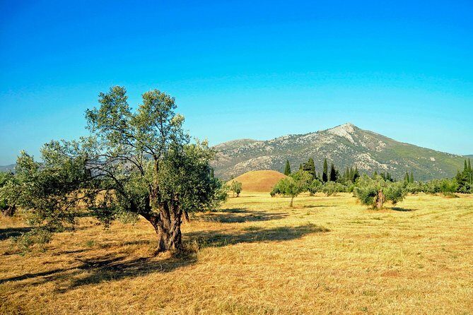2 Days Herodotus Tour - Marathon, Thermopylae, Delphi, Thebes, Plataea, Salamis - Perama and the Salamis ferry line: your final views before wrapping up