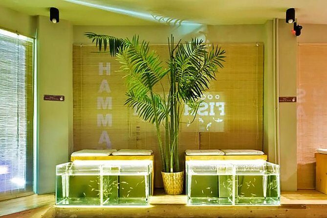 20-Minutes Natural Pedicure with Exotic Fish - Key Highlights Worth Your Time