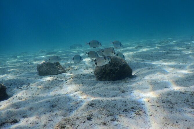 3 Hour Private Scuba Diving Experience - Key takeaways before you go