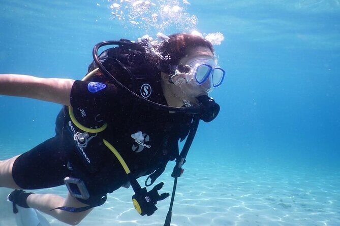 3 Hour Private Scuba Diving Experience - Who should book this private scuba experience?
