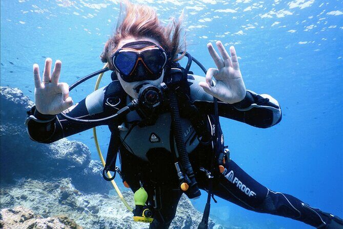 3 Hour Private Scuba Diving Experience - The step-by-step scuba setup: equipment, breathing basics, underwater communication