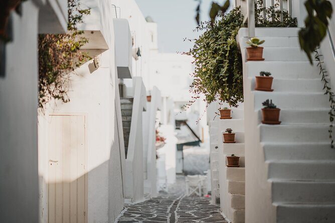 4 Day Private Tour to Paros, Mykonos, Santorini, - Day 2: Paros to Mykonos, Little Venice vibes, and optional farm tastings