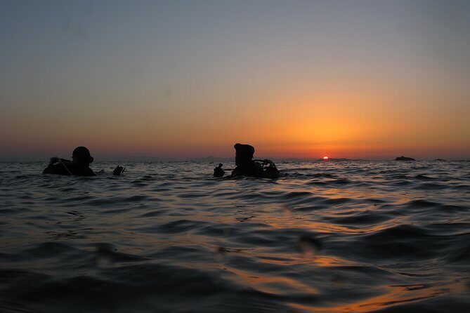 Adventure Dives for Certified Divers in Nea Makri, Athens - Key highlights worth your attention