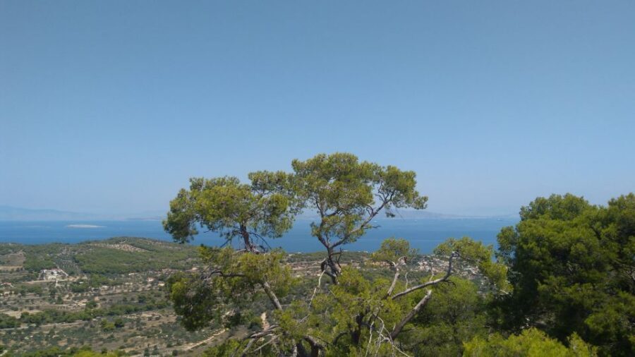 Aegina Island & Temple of Athina Aphaia Private Day Tour - Price and value: what $483 buys on this private day