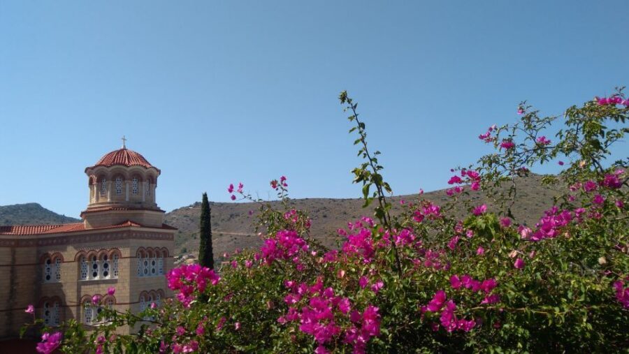 Aegina Island & Temple of Athina Aphaia Private Day Tour - Temple of Athena Aphaia: walking among pines and centuries