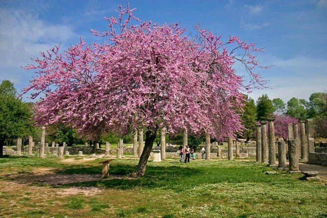 Ancient Olympia/ Ancient Corinth private tour from Athens/ Nafplio (up 12 hours) - Corinth Museum: the objects that explain the ruins you just walked