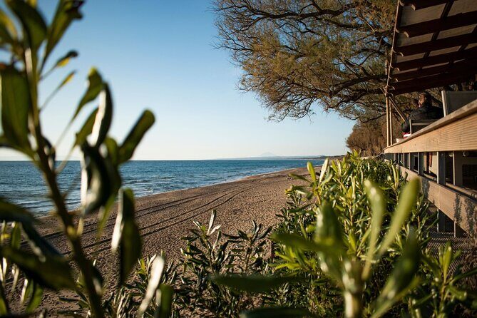 Ancient Olympia & Kourouta Beach - All Included Tour - Ancient Olympia: where Zeus meets the original Olympics