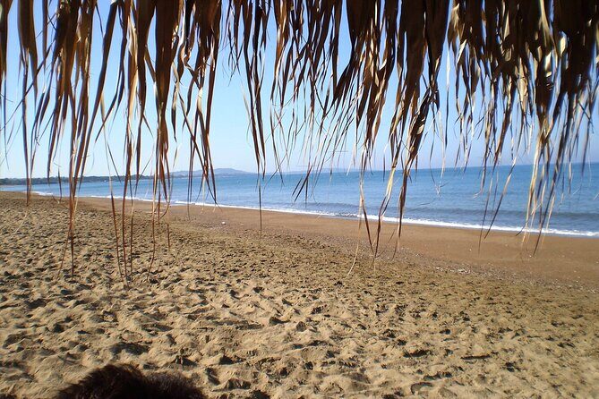 Ancient Olympia & Kourouta Beach - All Included Tour - Who this tour suits best