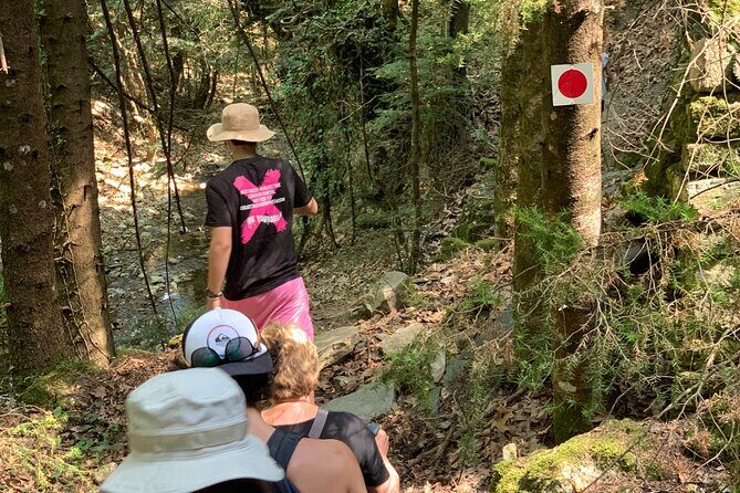 Arcadia experience, nature, people and culture - Walking the ancient roads: what the hike day is really like