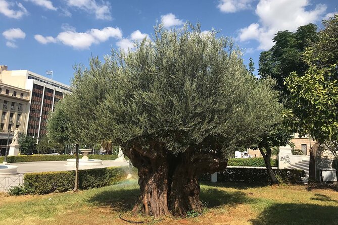Athens by E-Bike: Monuments, Food & Transfers (Cruise Tour) - Roman Agora and Old Town Cycling: How the City Feels on a Bike
