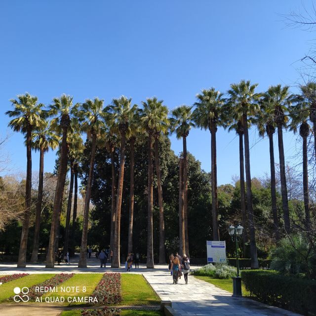 Athens city center walking tour - Meeting at McDonald’s Syntagma: the easiest start you’ll find