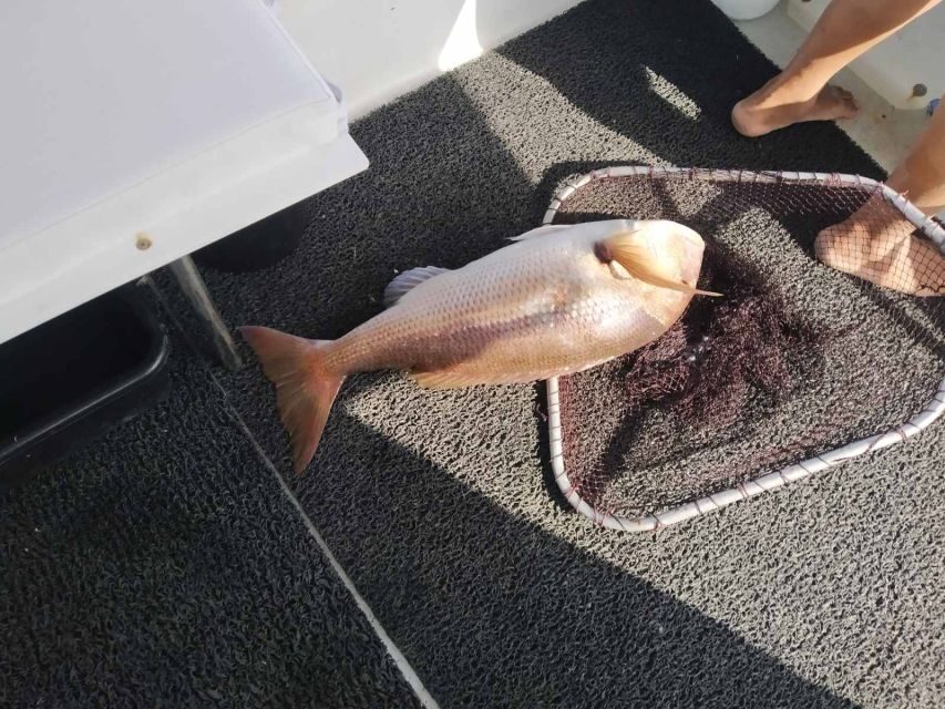 Athens: Fishing Trip Experience on a Boat with Seafood Meal - The fishing rhythm: where the lines go, and what you’re aiming for