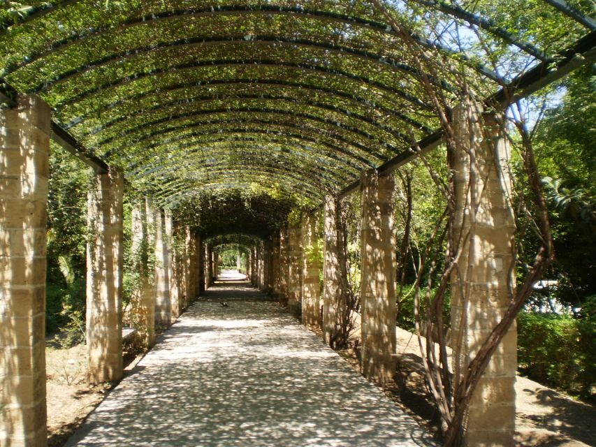 Athens: National Garden 2-Hour Segway Tour - National Garden of Athens: The Green Reset You Deserve