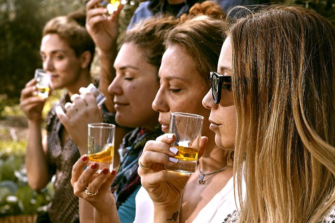 ATHENS OLIVE ESTATE - Olive Oil Workshop with Farm-to-Fork Lunch - Price and value: is $568.31 fair for an olive day?
