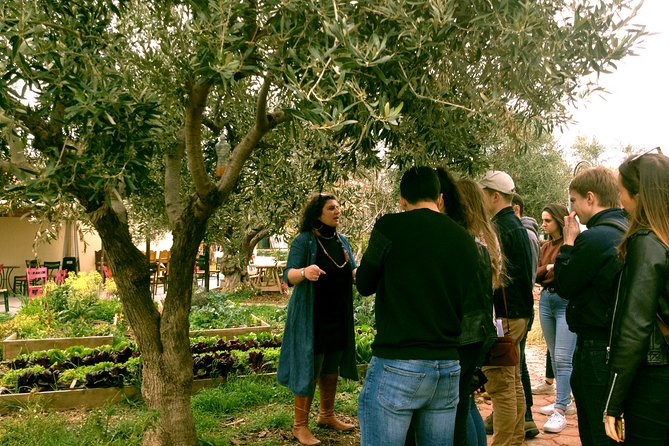 ATHENS OLIVE ESTATE - Olive Oil Workshop with Farm-to-Fork Lunch - Practical tips so your day goes smoothly