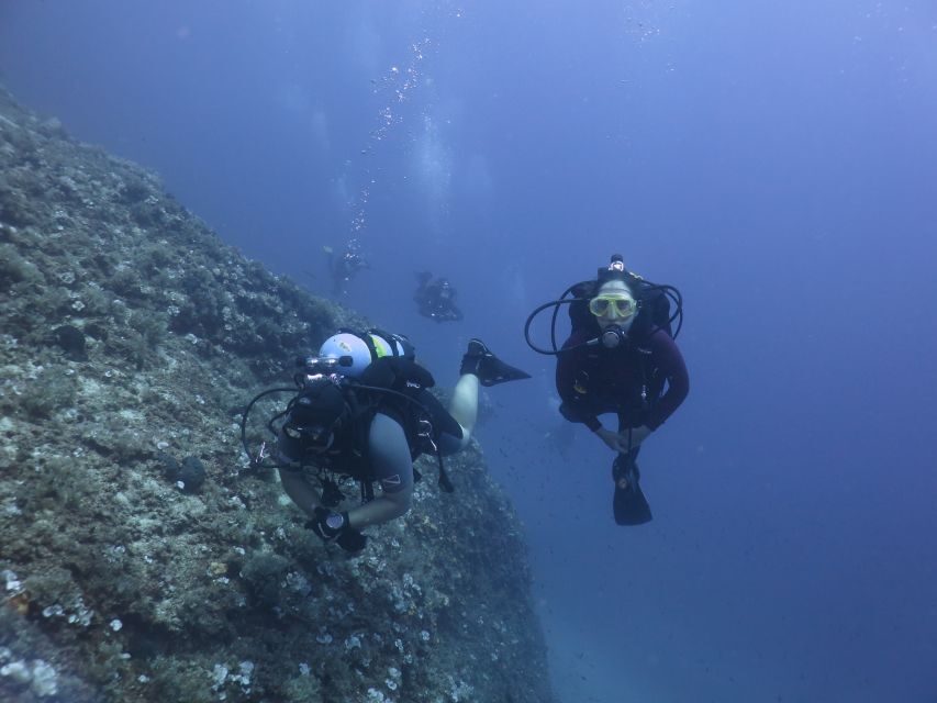 Athens: Private Discover Scuba Diving for Beginners - The underwater experience: calm depth, great visibility, and Mediterranean marine life