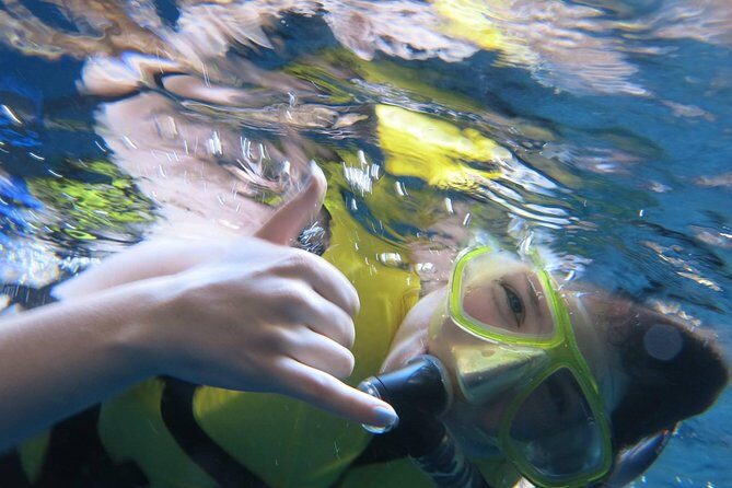 Athens Private Snorkeling and Swimming Cruise with pick up - Key highlights worth your attention