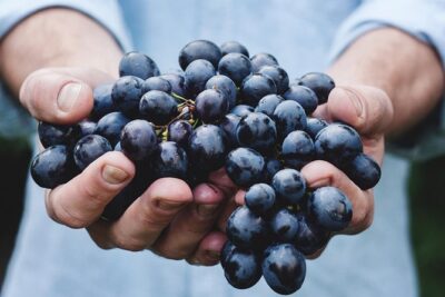 Athens Private Wine Tasting Tour - Dionysian Grapes - Step-by-Step: From Plaka Start to Your Tastings