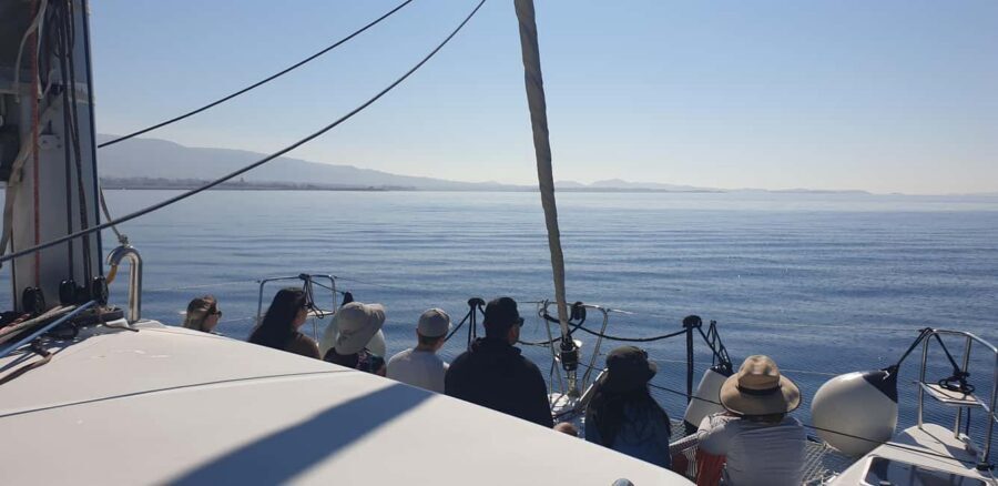 Athens Riviera Private Catamaran Cruise with Meal and Drinks - Food and drinks: why the meal is a real part of the value