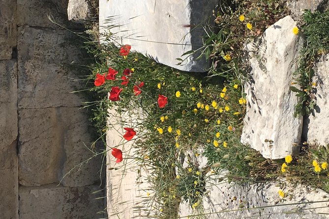 Athens Shore Excursion: Private City Sightseeing and Acropolis Tour - Price and value: what $650.17 per person gets you (and what it doesn’t)