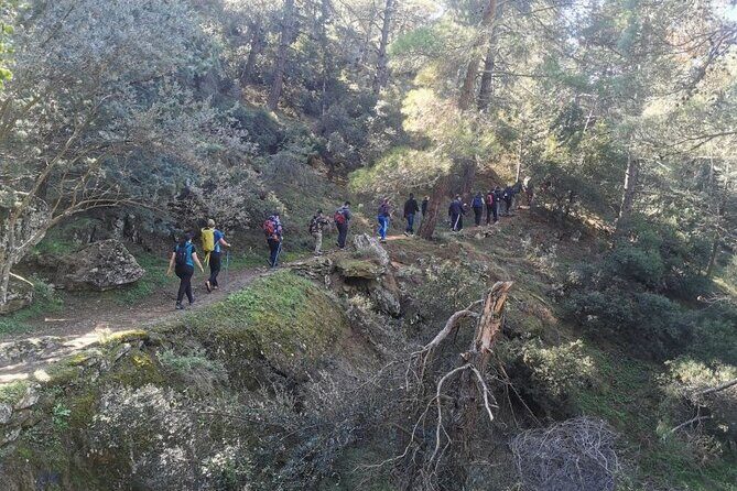 Athens Sunset Hymettus Mountain Hike - Price and value: what $47.66 buys you