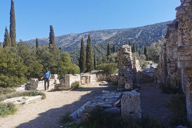 Athens Sunset Hymettus Mountain Hike - Pine forest stops and plant-spotting you’ll actually remember