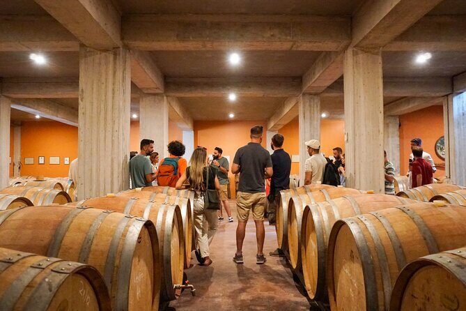 Athens to Nemea Wine Experience Tour - Stop 1 at Koutsi Winery: Cellar Tour and the 6-Wine Tasting