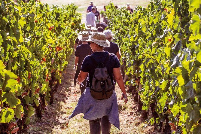 Athens Wine Tour - An Outstanding Full Day Experience For Dedicated Winelovers - From Syntagma to Attica: The Start Time That Actually Works