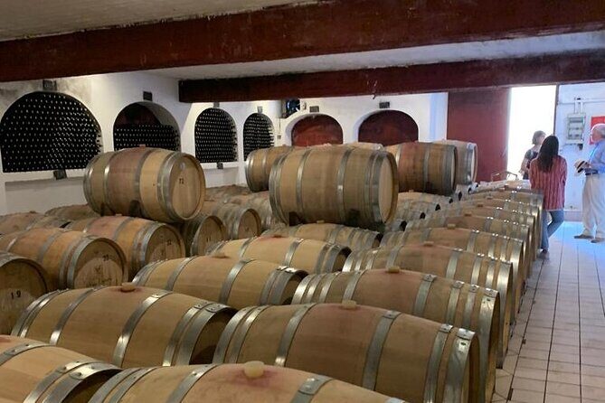 Athens Wine Tour - An Outstanding Full Day Experience For Dedicated Winelovers - Attica Wine Basics: Dionysus, 4,000 Years, and the Grapes You’ll Meet
