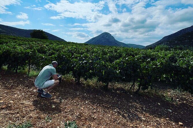 Athens Wine Tour with Wine Expert - Stop 1: Markou Vineyards and the first round of at least four wines