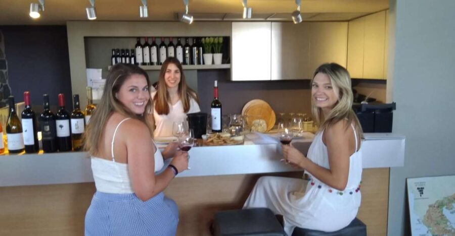 Athens Winery Tour - The wines you’ll taste: Savatiano, Agiorgitiko, and Cabernet