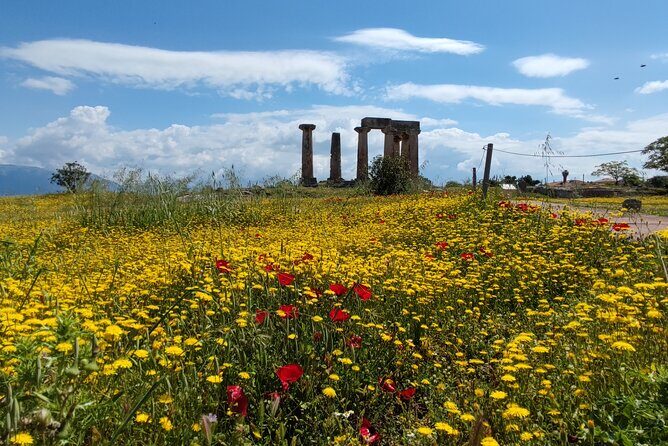 Biblical Corinth Taste Faith & History with wine & Oil Tasting - The Archaeological Museum of Corinth: Smaller, Focused, Helpful