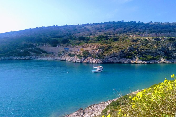 Cape Sounion & Vouliagmeni Lake Private Half-Day Trip from Athens - Why a private Cape Sounion half-day fits Athens time