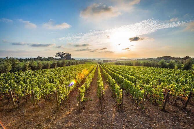 Corinth and Nemea Wine-tasting full day tour from Athens - Price and logistics: what’s included, what you must budget