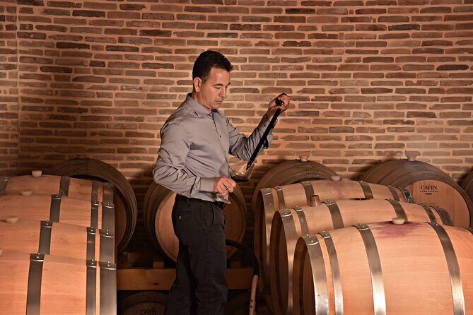 Corinth: Winery Tour and Organic Fine Wine Tastings - Key highlights to look for