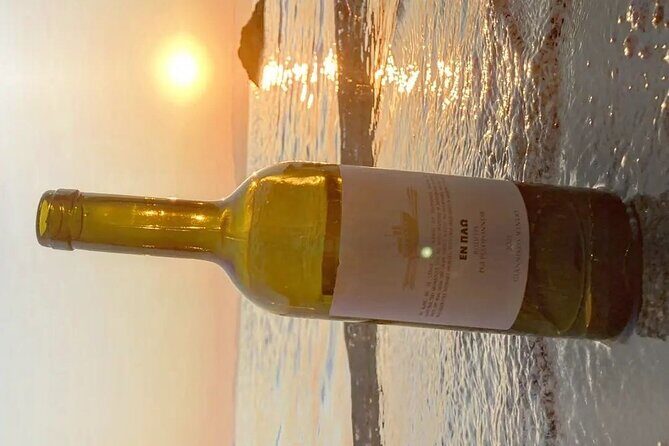 Corinth: Winery Tour and Organic Fine Wine Tastings - The vineyard walk: organic vines and the roots of good wine