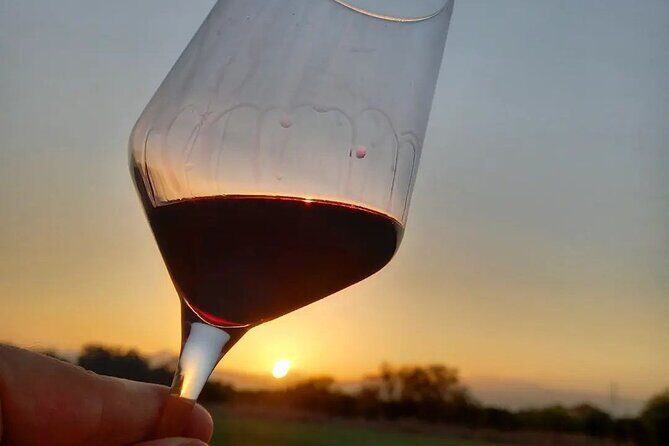 Corinth: Winery Tour and Organic Fine Wine Tastings - The tasting room: 4 single-varietal wines plus local snacks