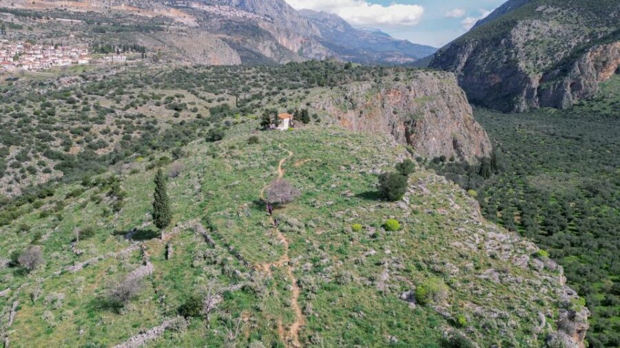 Delphi: Easy Hike on Ancient Path through the Olive Groves - Key highlights worth your afternoon