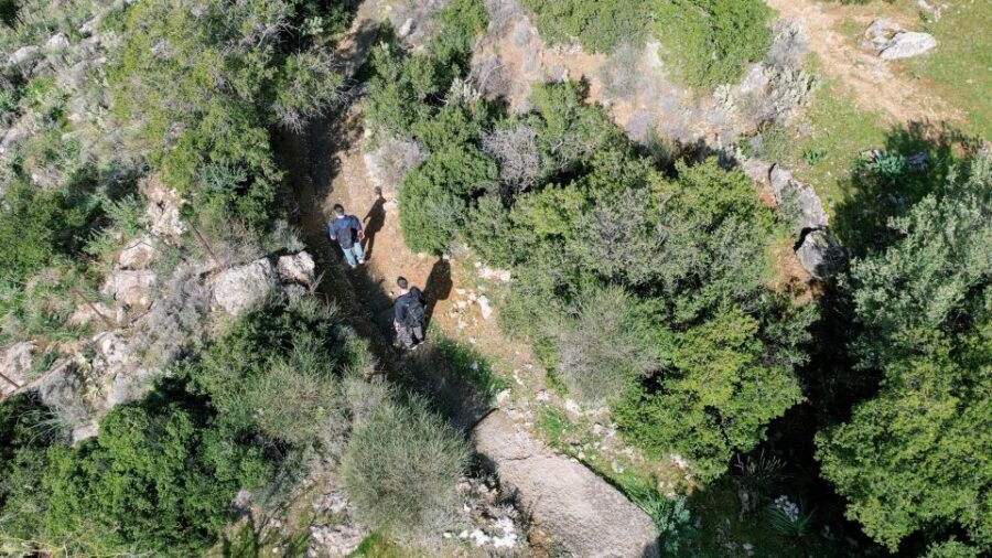 Delphi: Easy Hike on Ancient Path through the Olive Groves - Chriso and the olive groves: where farming becomes part of the story