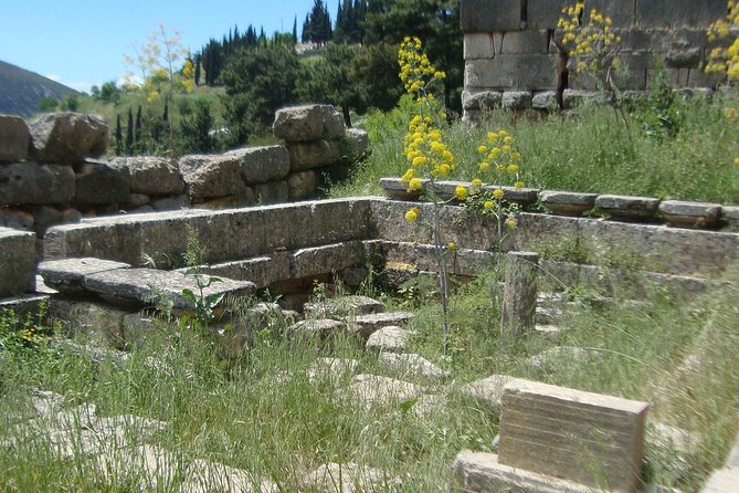 Delphi Self-guided Audio Tour on Your Phone (no ticket) - Price and value: $11.62 is cheap, but only if the app works