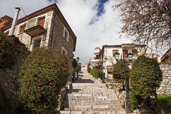 Delphi Tour (Full Day) - Stop 2: Arachova for an hour (village energy without dragging it out)