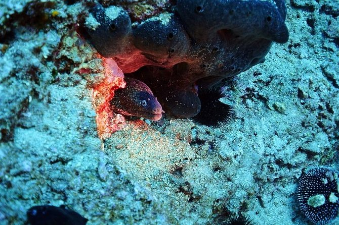 Discover Scuba Diving Private Fun Activity in Athens - Equipment you’ll actually use: what’s included and why it matters