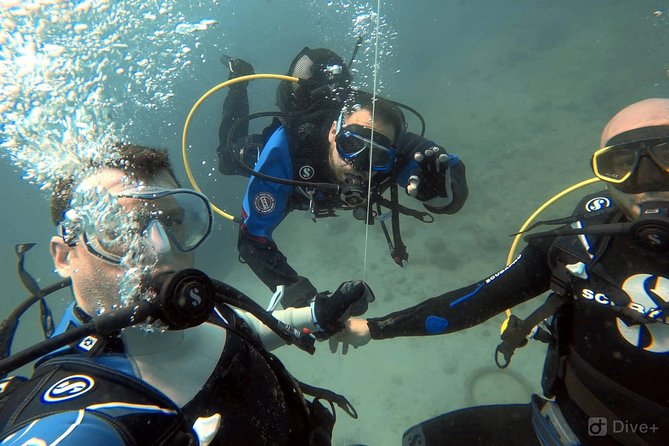 Double Shore Dive (certified divers) - Is this the right scuba option for you?