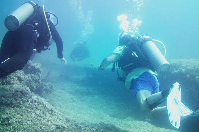 Double Shore Dive (certified divers) - Should you book this Double Shore scuba package?