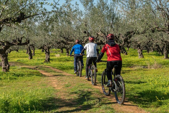 E-Bike Kalamata Olive Routes - Kalamata Olive Groves by E-Bike: Why This Ride Feels So Good