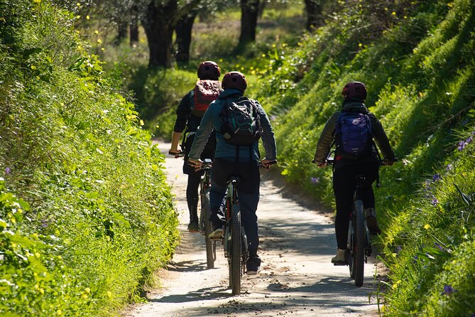E-Bike Kalamata Olive Routes - Getting Started at Explore Messinia in Kalamata