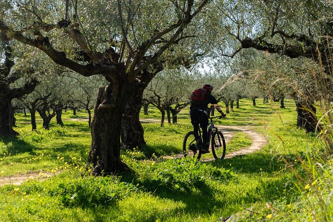 E-Bike Kalamata Olive Routes - Wine or Soft Drink, Plus a Photo Take-Home