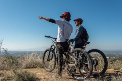 E-Bike Kalamata Olive Routes - Olive Oil Tasting: What You Actually Learn